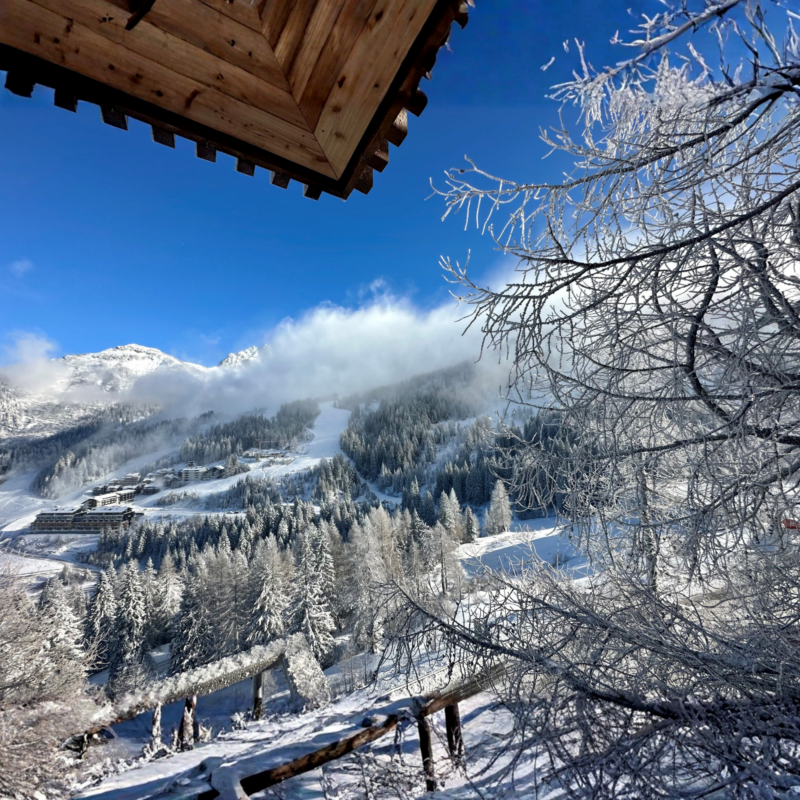 NASSFELD – APARTAMENTY ALMRESORT SONNENALPE — zdjęcie 17