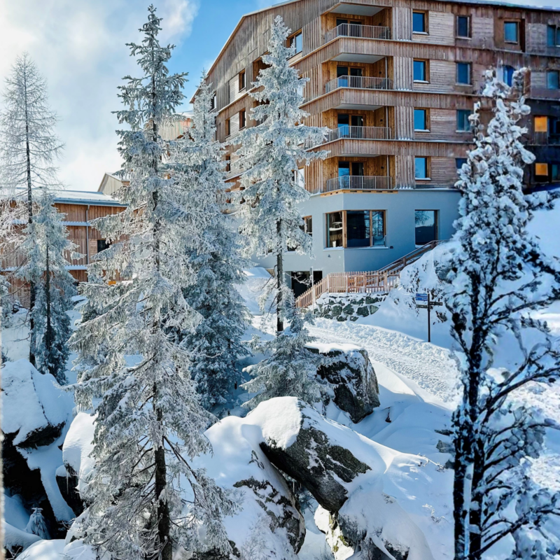 NASSFELD – APARTAMENTY ALMRESORT SONNENALPE — zdjęcie 3