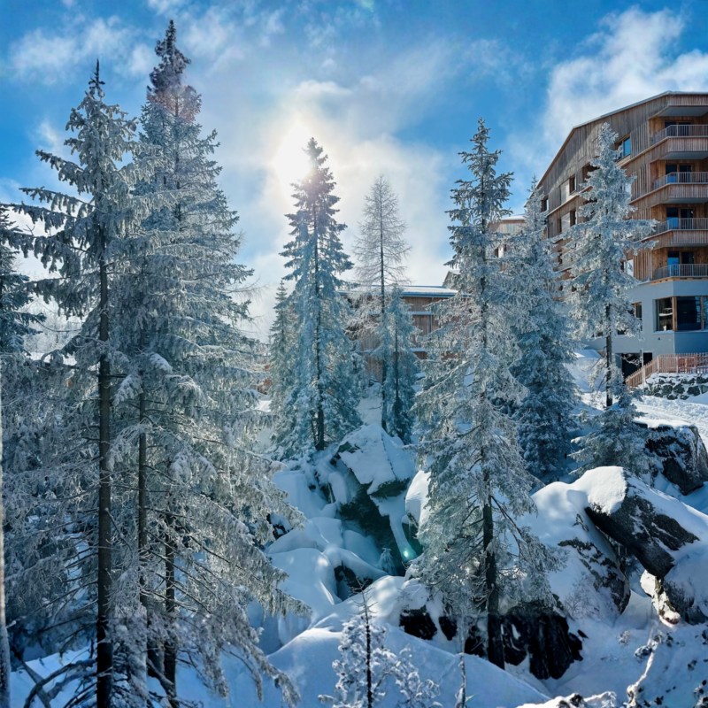NASSFELD – APARTAMENTY ALMRESORT SONNENALPE — zdjęcie 23